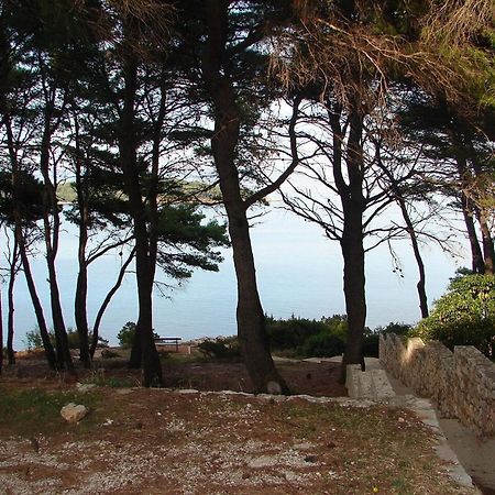 Apartments Matkov - Quite And Peaceful Location Jelsa  Exterior foto