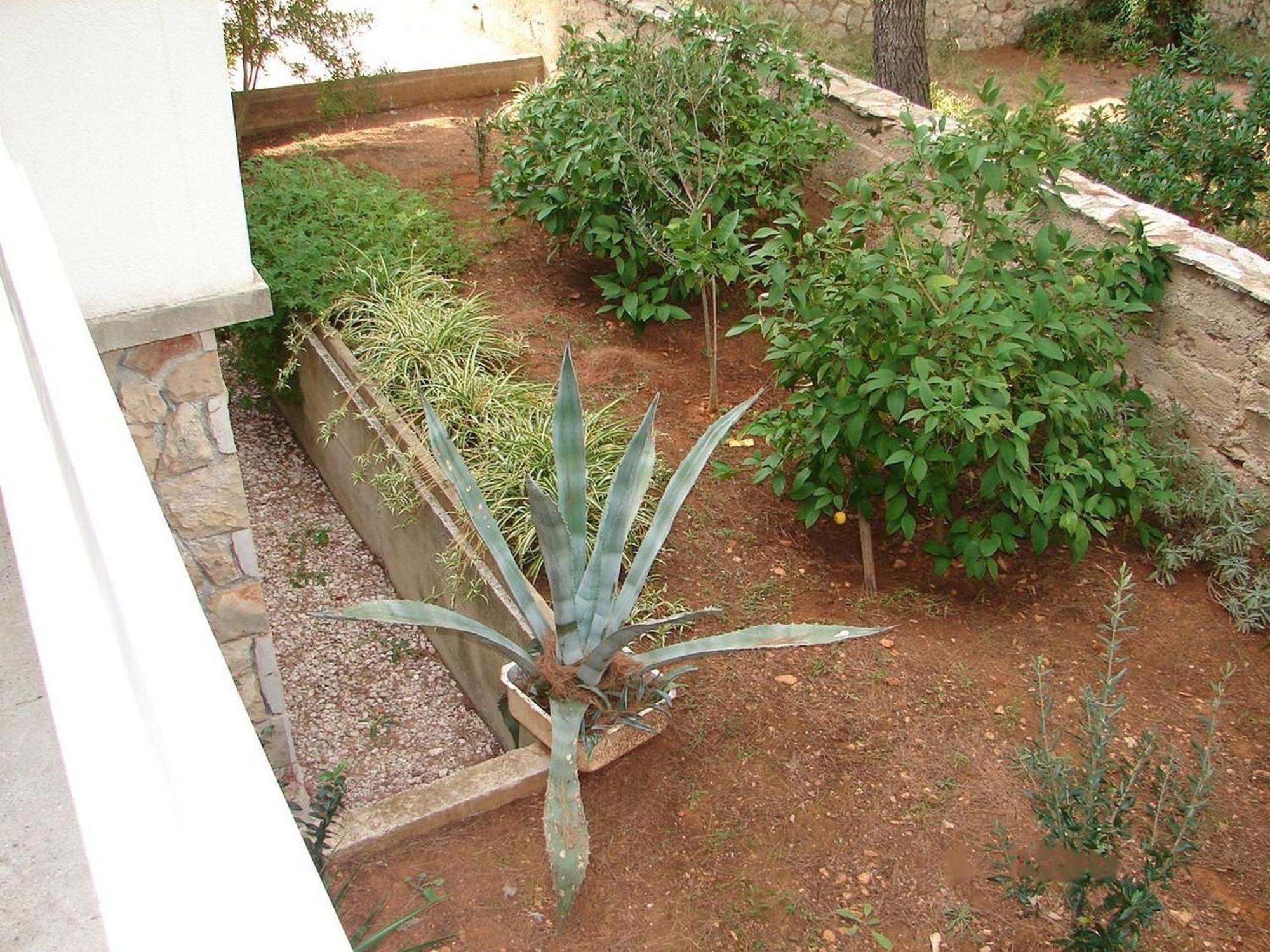 Apartments Matkov - Quite And Peaceful Location Jelsa  Exterior foto